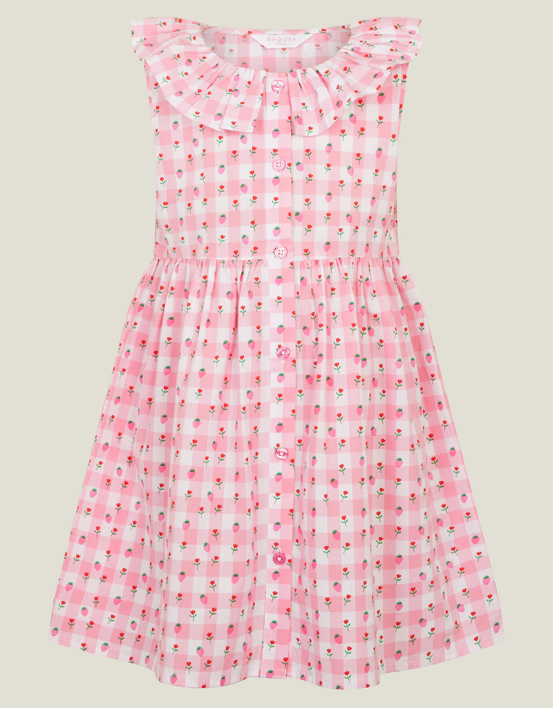 HALJINA - CHECK STRAWBERRY DRESS