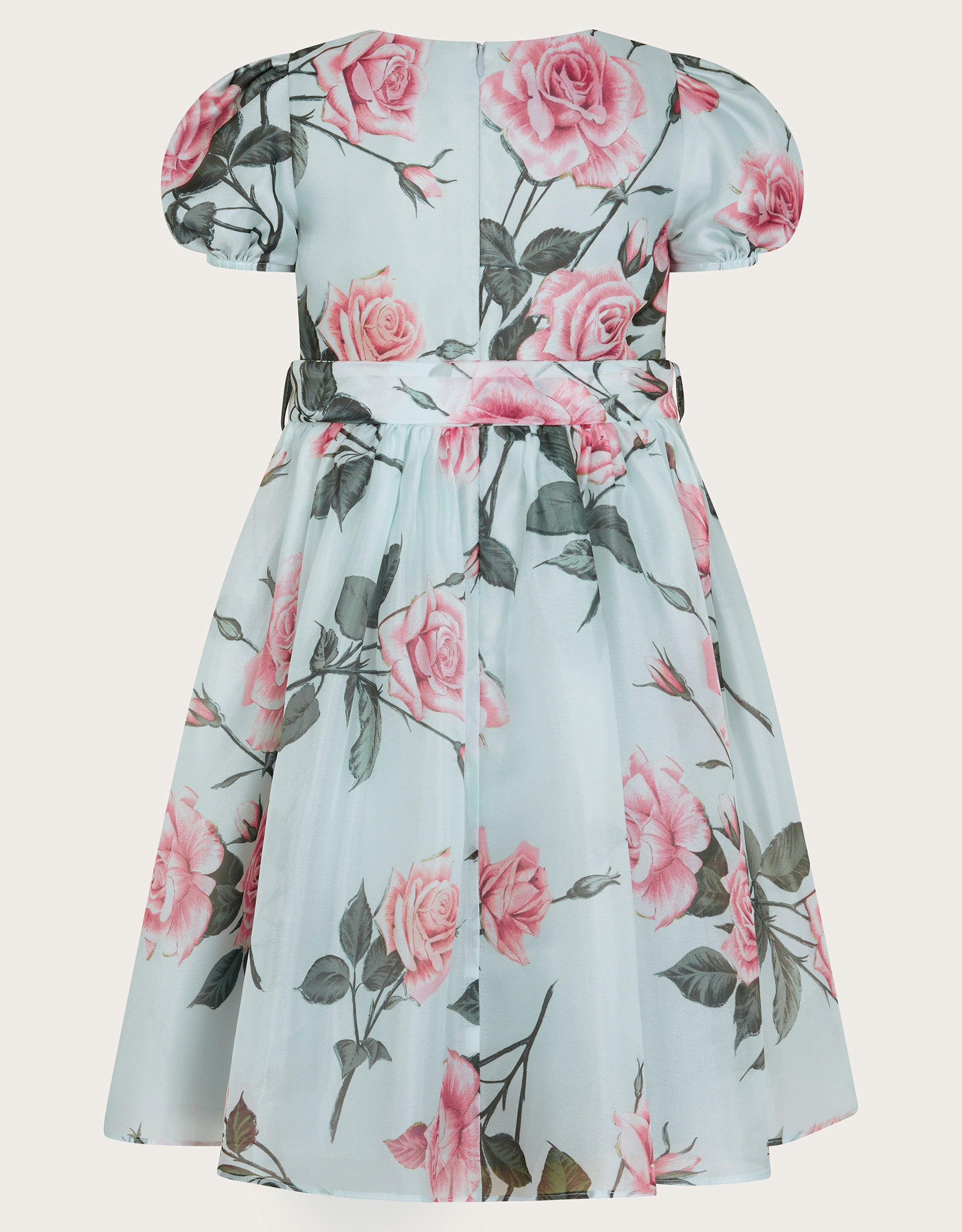 HALJINA - ROSALINE PRINT ORGANZA DR